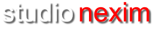 Studio Nexim - profesjonalne strony internetowe. Hosting i serwery dedykowane